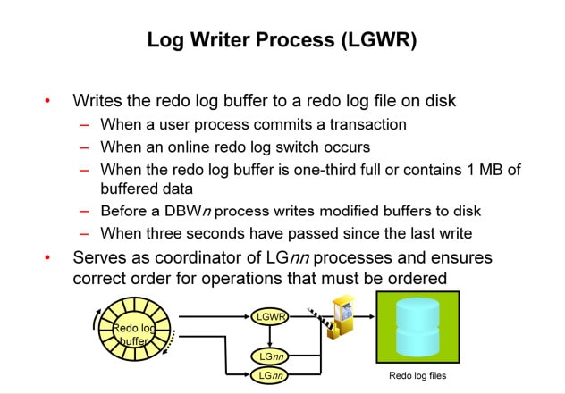 Process architecture - Background process - Log write process(DBWn)