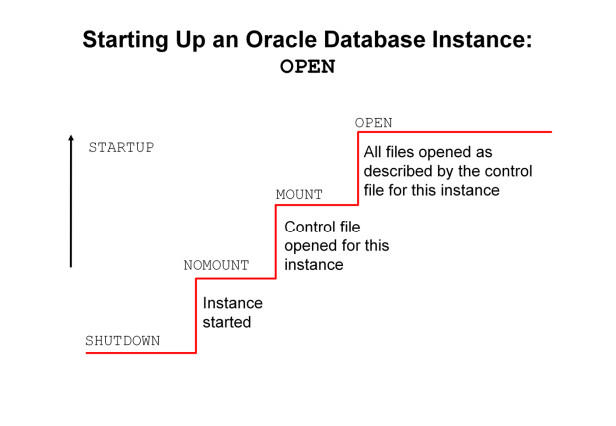 start up an oracle database instance open