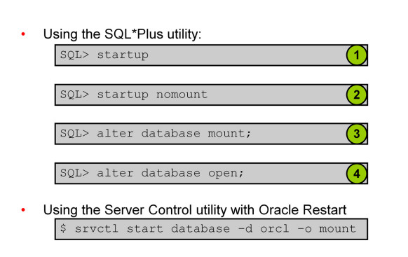 start up an oracle database instance open examples