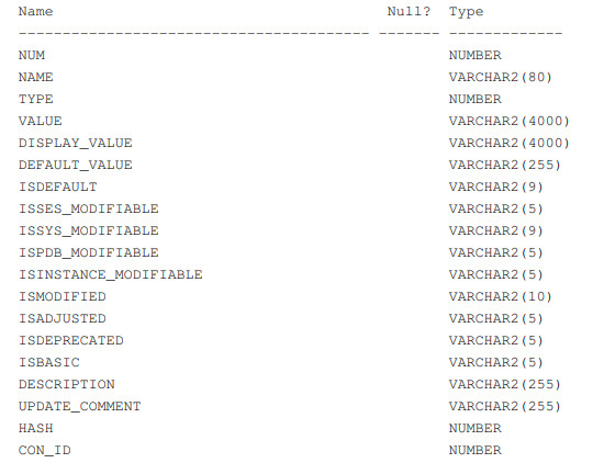 Oracle database - type of initialization parameter