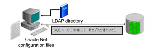 Oracle database network environment