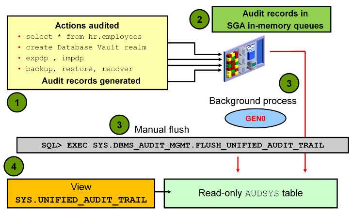 db-oracle-audit-fga